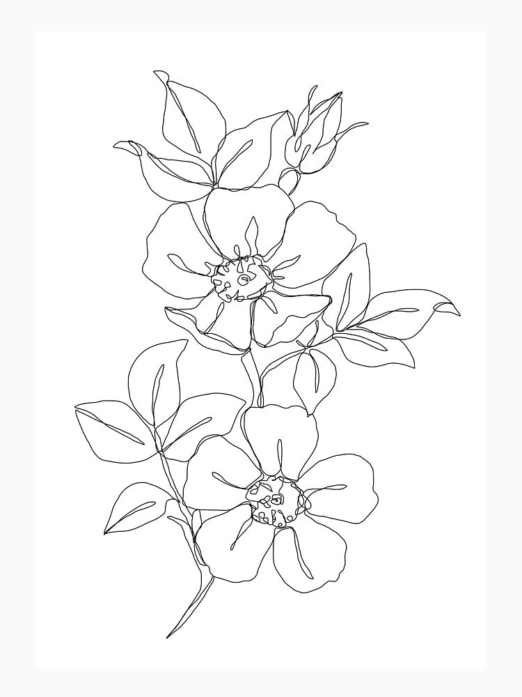 Botanical floral illustration - Rose by TheColourStudy