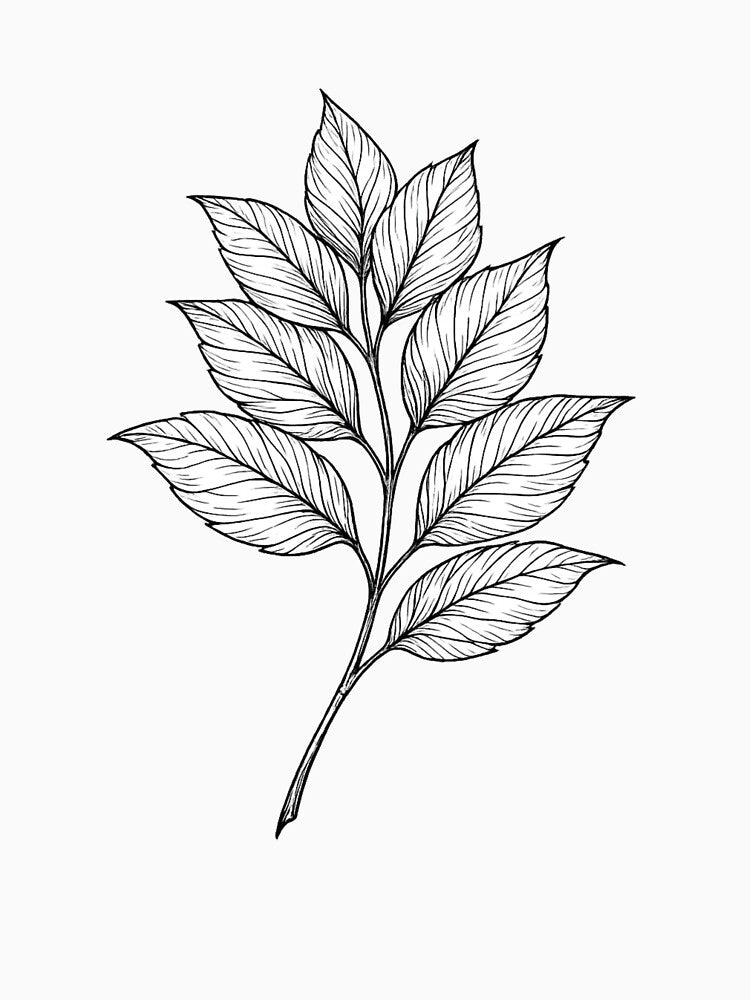 ? Redbubble Listing: Botanical Leaf Line Art by Tee Visions