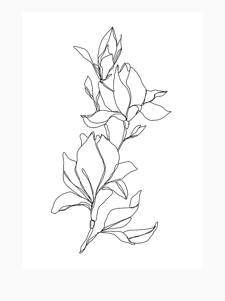 Botanical floral illustration - Magnolia by TheColourStudy