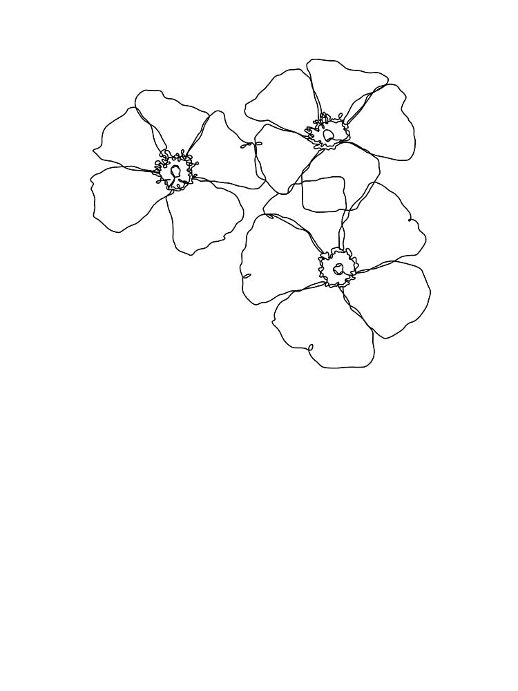 Botanical wild floral illustration - Vita by TheColourStudy