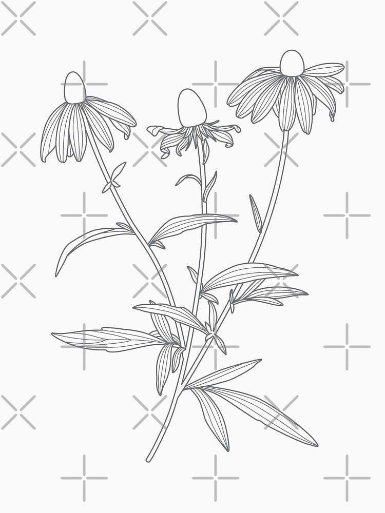Rudbeckia Flower Line Art by RPuniquedesigns