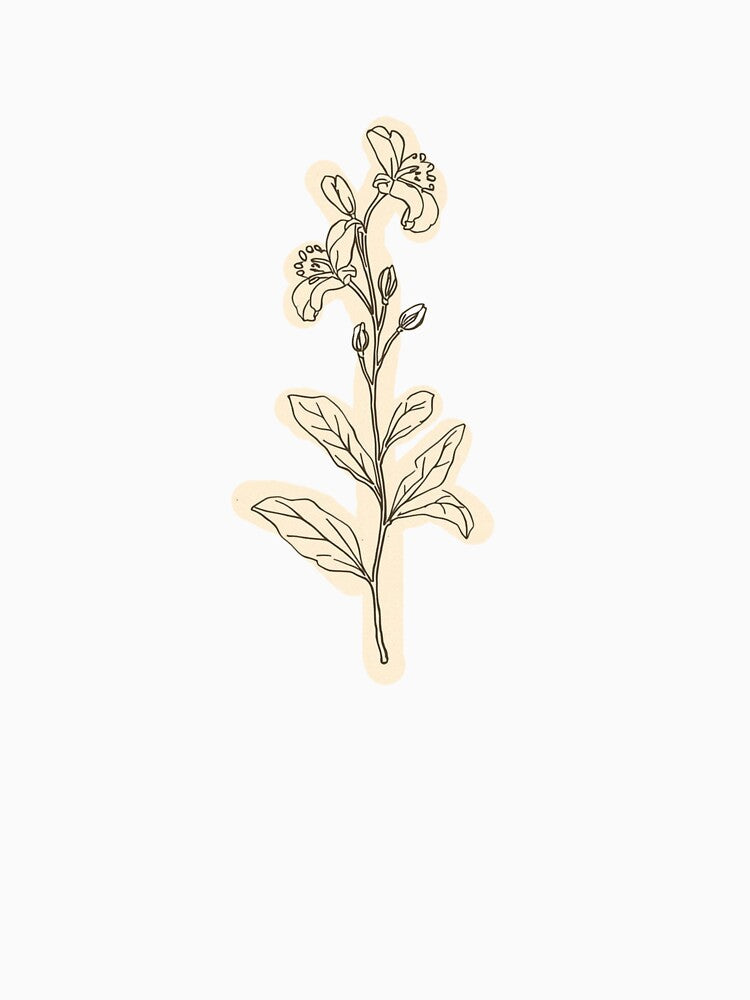 Wildflower Stem Line Art by Vallentinez