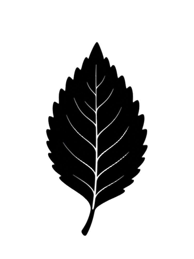 Minimalist White Leaf Line Art by Dictum1