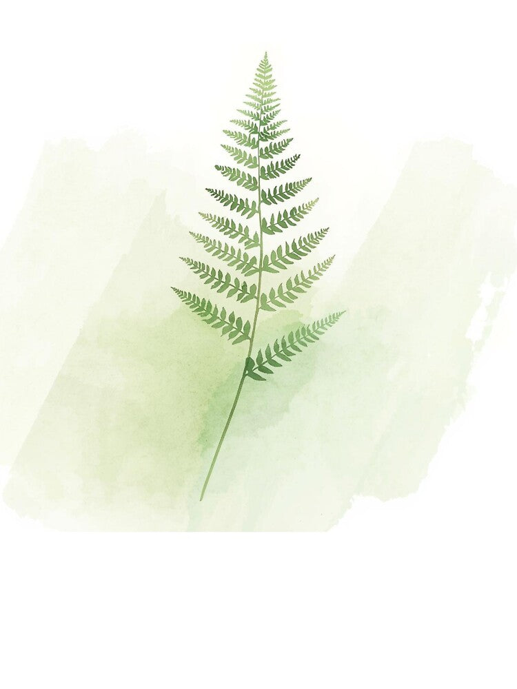 drawing of a fern wrapping from hem to shoulder. by zeeshandesign99