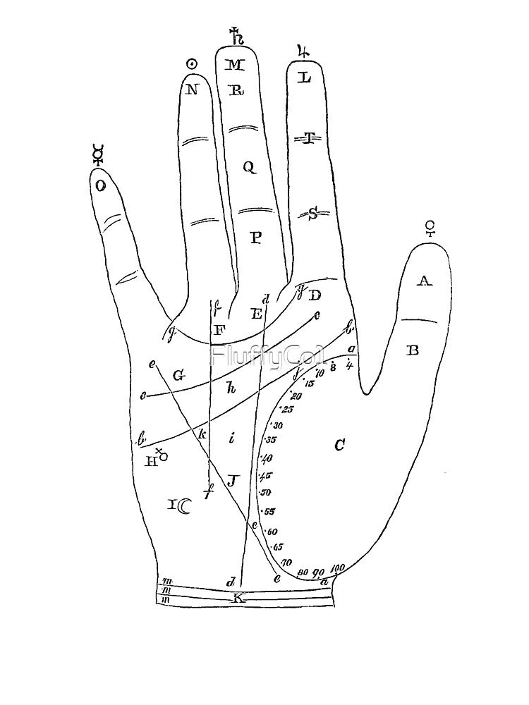 Palm Reading Diagram by FluffyCo1