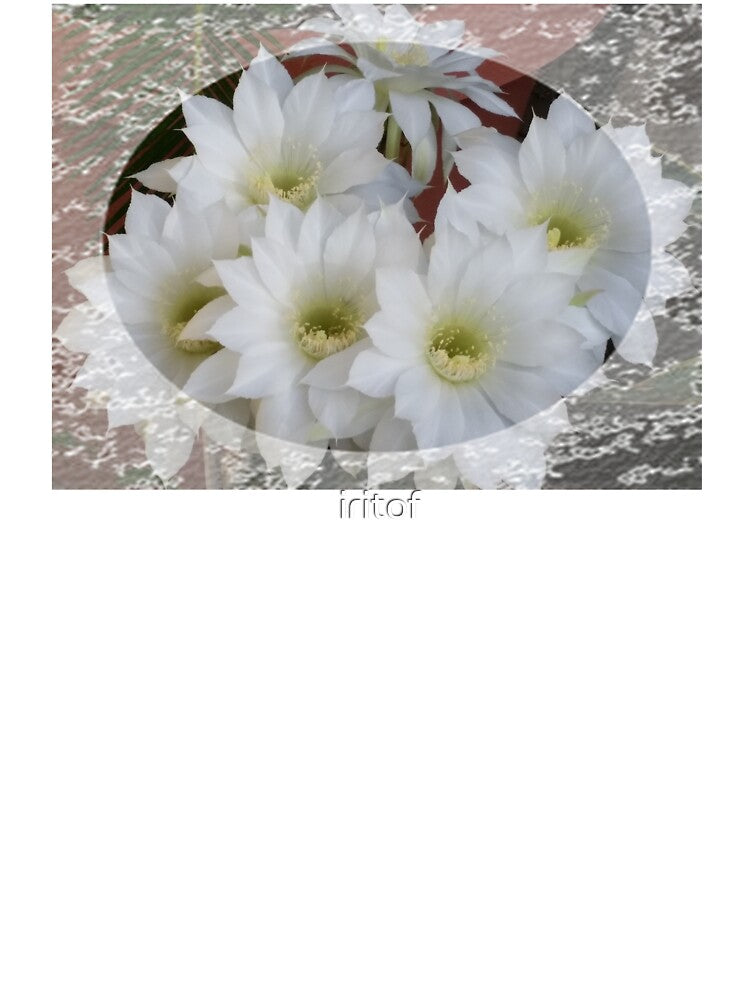 Spring cactus flowers with lace trim by Iritof by iritof