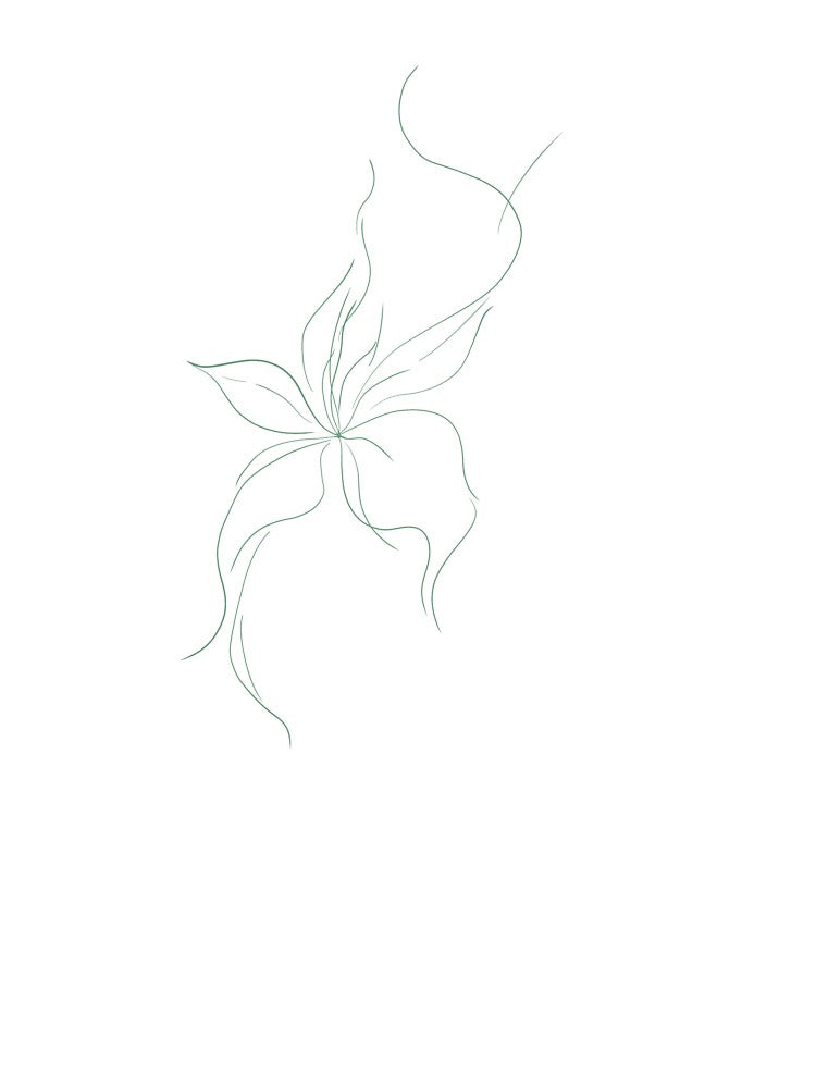 Abstract Floral Flow – Minimal Green Line Art Sticker by alicebq