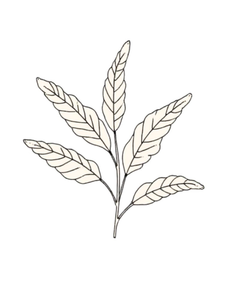 Minimalist Leaf Branch Botanical Line Art by LstpStudio-Art