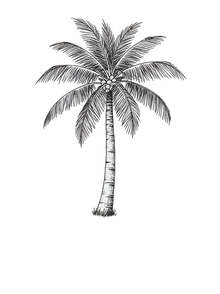 Palm Tree by Naux | Design & Illustration