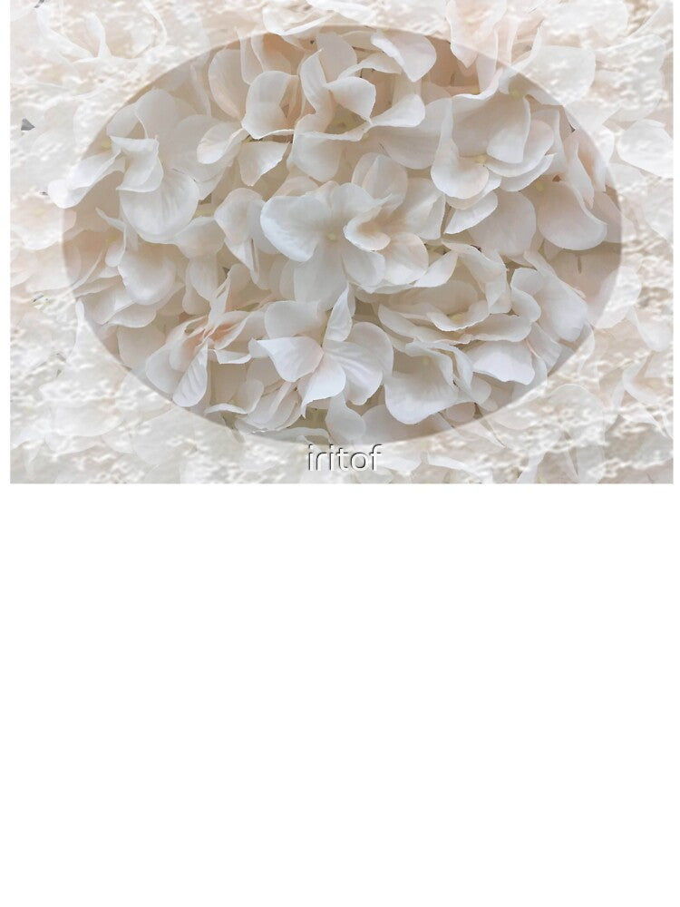 Romantic Vintage white flowers with lace trim by Iritof by iritof