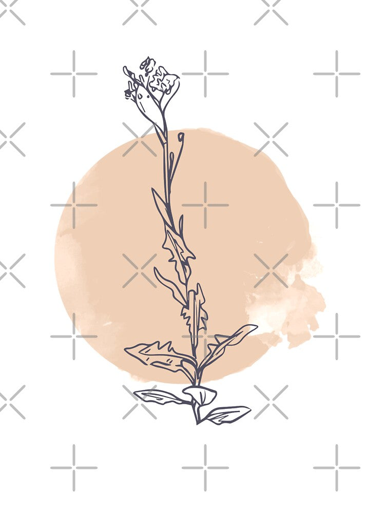 MINIMALISTIC FLOWER LINE ART by SerenaMinimal