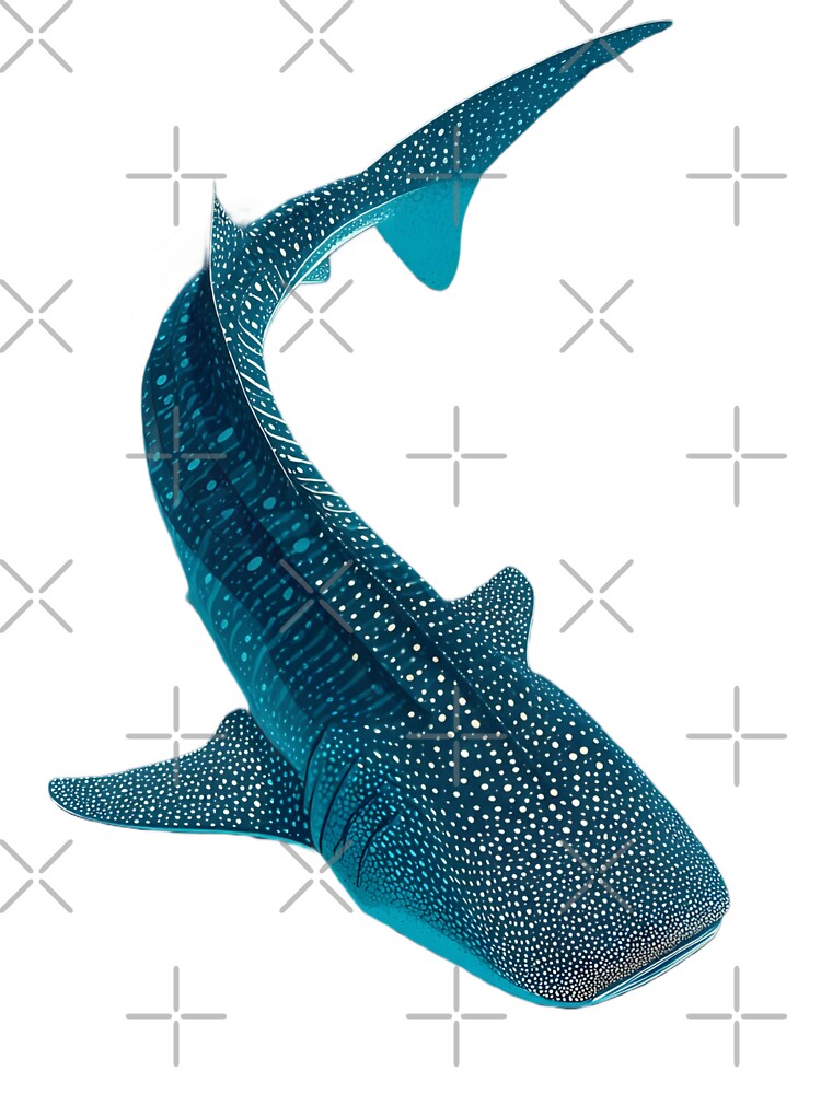 Whale Shark Top View Illustration | Ocean Giant Minimal Marine Art by ayatstudio