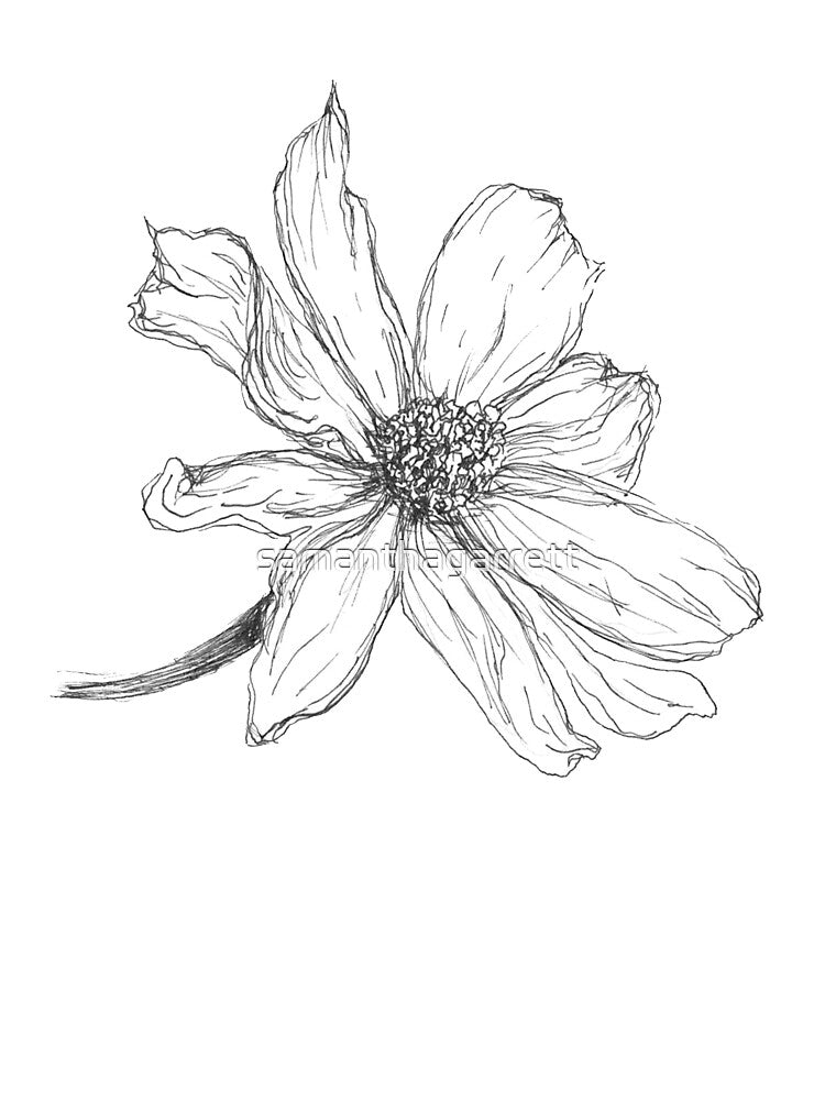 Flower Illustration by samanthagarrett