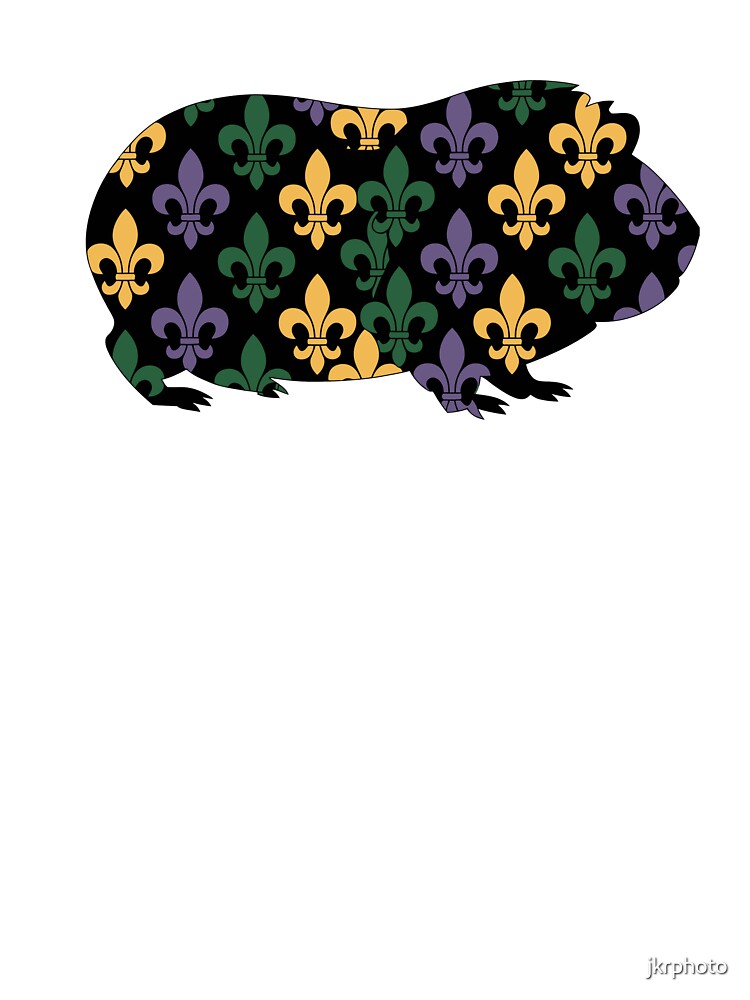 Guinea Pig with Fleur-de-lis Pattern by jkrphoto