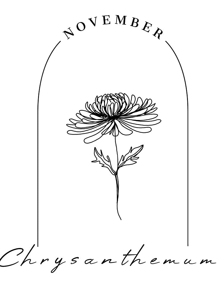 Chrysanthemum - November Birth Flower by MinmalistValley