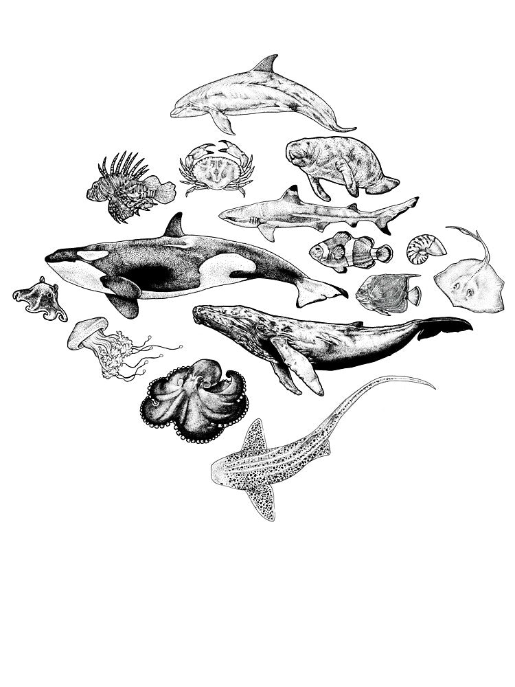 Marine Life in Ink - Black & White by Elizabeth Weglein