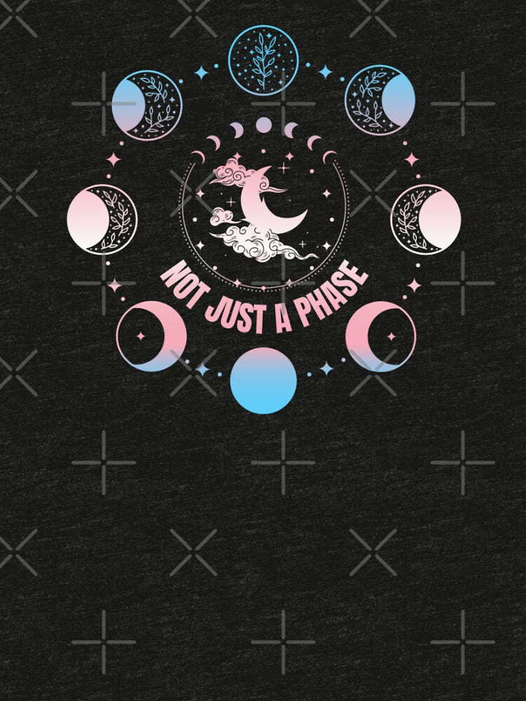 Moon Phases, Not Just A Phase graphic, Transexual pride flag graphic, sun moon and stars, pride graphic, Astronomy, night sky, star gazing, Full Moon, Crescent moon, outdoors, nature, by PrideBeProud