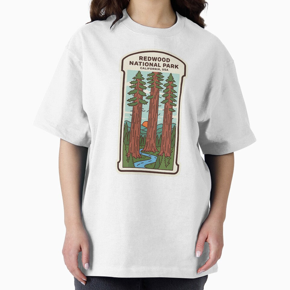 Redwood National Park Modern Illustration  Giant Trees of Northern California by LittleArij